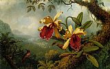 Martin Johnson Heade Orchids and Hummingbird painting